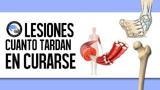 ¿Cuanto tiempo tarda en curarse una lesion [upl. by Tyrus]