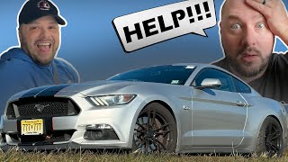 Scaring My Best Friend With 705 Horsepower of Mustang Fury [upl. by Wilton]