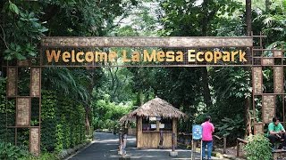 Welcome to La Mesa Eco Park tour [upl. by Nnainot964]