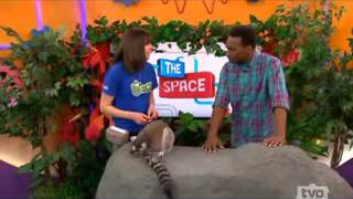 Stewie the Lemur Visits TVOKids [upl. by Bradleigh]