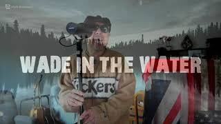 Wade in the Water Eva Cassidy cover [upl. by Hebbe]