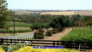 South Australia Wine Tours  McLaren Vale Barossa Valley Adelaide Hills [upl. by Aihceyt]