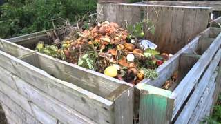 10 of the best Composting tips  Easy composting at home [upl. by Frankel12]