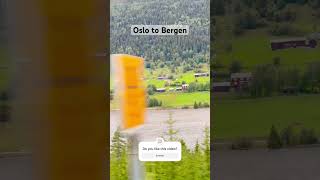 Oslo to Bergen Train Journey🇳🇴 oslo bergen norway travel shorts shortvideo [upl. by Sirapal]