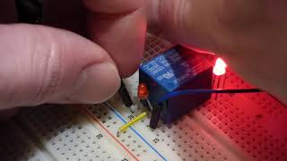 Electronics single pole double throw switch demonstration circuit using SRD 05VDC SL C relay [upl. by Marla259]