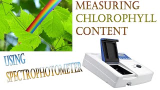 Chlorophyll content  Measuring Method  learning techniques [upl. by Burkhard]