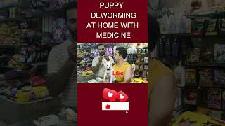 DOG  PUPPY DEWORMING AT HOME WITH MEDICINE dog cat deworming pets animals [upl. by Cyndia8]