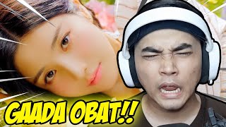 PENGEN JADI BACKDANCER EUNBI   Kwon Eunbi  Door MV Reaction  Indonesia [upl. by Durward]