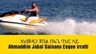 አህመዲን ጀበል በኤጌ ባህር ላይ Ahmaddiin Jabal Galaana Eegee irratti [upl. by Aiuhsoj698]