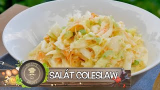 SALÁT COLESLAW POZOR HOLANDSKÁ HVĚZDA PADÁ PŘÍMO NA VÁŠ STŮL [upl. by Shumway]