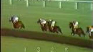 SECRETARIAT  1973 Man o War Stakes [upl. by Thier]