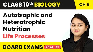 Class 10 Biology Chapter 6  Nutrition in Human Beings Digestive Glands  Life Processes [upl. by Eceela]