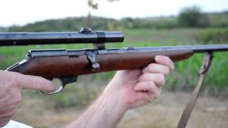 Shooting the Walther Model 1 carbine in 22lr [upl. by Rellim]