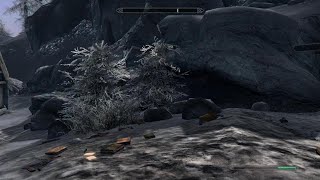 Skyrim Dawnstar chest glitch [upl. by Bellina]