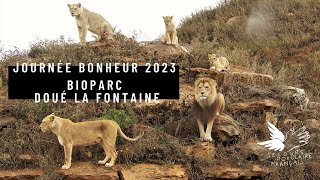 Journée bonheur 2023  Bioparc Doué la Fontaine [upl. by Maloney]