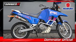 Suzuki DR 800S BIG  Dominator Exhaust vs Stock [upl. by Santini]