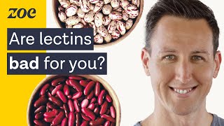 The surprising truth about lectins  Dr Will Bulsiewicz [upl. by Asina]