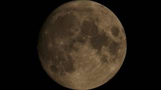 Video Test  Olympus 100400MM on the Moon 31st August 2020 [upl. by Nottus924]