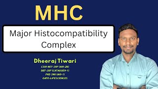 MHC Major Histocompatibility Complex  Immunology [upl. by Keraj441]