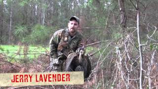 Alabama Spring Gobbler Hunt Ep14 [upl. by Tobye]