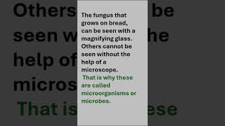 Microorganisms friend and foe  microbes class8science trending cbse ncertscience school 8 [upl. by Fariss]