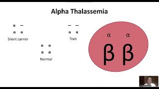 Thalassemias [upl. by Annoirb]