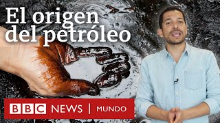 Cuál es el origen del petróleo y no no viene de los dinosaurios  BBC Mundo [upl. by Brigida]