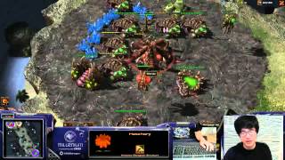 Dragon Trolling as Zerg Evo Chamber Rush Vs Zerg [upl. by Wait]