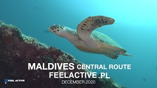 Maldives 2020 Central route [upl. by Zeta915]