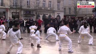 VIDEO Poitiers Wushu fête le Nouvel an chinois [upl. by Asilim]