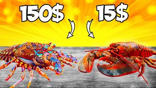 Lobster vs Spiny Lobster  What Is More Tasty [upl. by Eyma]