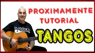 FALSETA TANGOS FACILITA PERO EFECTIVA PRÓXIMO TUTORIAL UNIVERSO FLAMENCO GUITARRA FLAMENCA [upl. by Burney602]