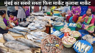 Machhi Market Mumbai  Colaba Sassoon Dock Fish Market  Wholesale Fish Market In Mumbai [upl. by Eniale901]