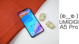 UMIDIGI A5 Pro Alltagstest  Eines der schönste Low Budget Gerät mit überzeugener Performance [upl. by Tomasina]