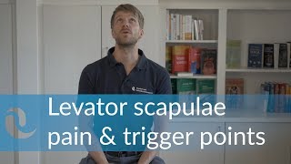 Levator Scapulae Pain amp Trigger Point Activation [upl. by Ettegdirb]