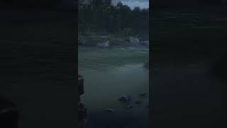 RDR2 online  Another Great Location for Sockeye Salmon  Succulent Fish [upl. by Enyluqcaj297]