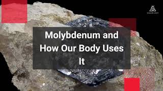 Molybdenum and How Our Body Uses It [upl. by Bovill6]