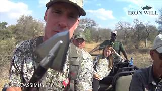 Bow Hunting Cape Buffalo  Best Broadhead for Maximum Penetration on Huge Animals [upl. by Roddy424]