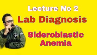 Sideroblastic Anemia Lab Diagnosis Lecture 2 [upl. by Eladroc309]