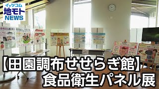 【田園調布せせらぎ館】食品衛生パネル展【地モトNEWS】2024730放送 [upl. by Nosduj]