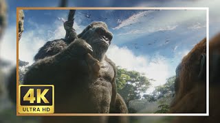 Kong 2024 Scene Pack  Godzilla X Kong The New Empire 4K Clips [upl. by Endora]