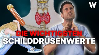 Schilddrüsenwerte verstehen Wichtige Unterschiede amp die Bedeutung der Blutwerte für die Schilddrüse [upl. by Theresina]