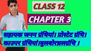 Prostate and Cowper gland function in hindi।सहायक जनन ग्रंथियां।Bulbouritheral gland seminal vesicle [upl. by Bully]