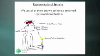 What is a representational system [upl. by Arekahs]