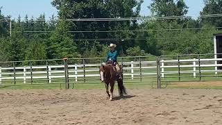 Ranch Riding AQHA Pattern 10 [upl. by Anwahs]