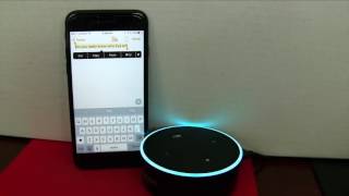 Siri Talks To Alexa [upl. by Palla]