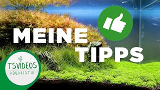 Meine 3 besten Tipps für ein perfektes Aquarium [upl. by Atul270]