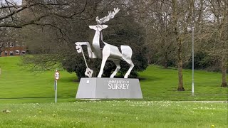 University of Surrey Campus Tour A [upl. by Kolosick]