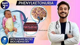 phenylketonuria biochemistry  protein metabolism biochemistry  phenylalanine metabolism defect [upl. by Skill]