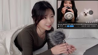 ASMR 저랑 같이 카카오 같이가치 같이하실분 [upl. by Suckow]